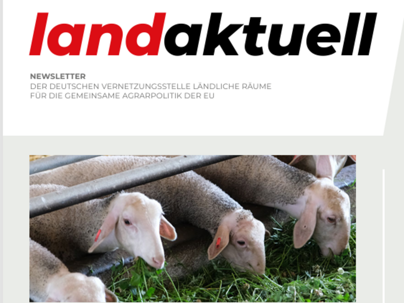landaktuell: aktueller Newsletter 06/2026